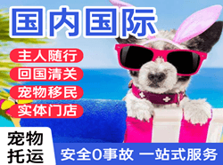 徐州机场货运国际宠物托运 【国